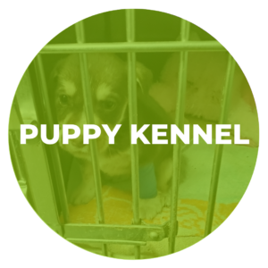 Urgent Puppy Kennel