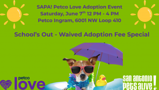 SAPA! Petco Love Adoption Event at Petco Ingram - NO Adoption Fees!