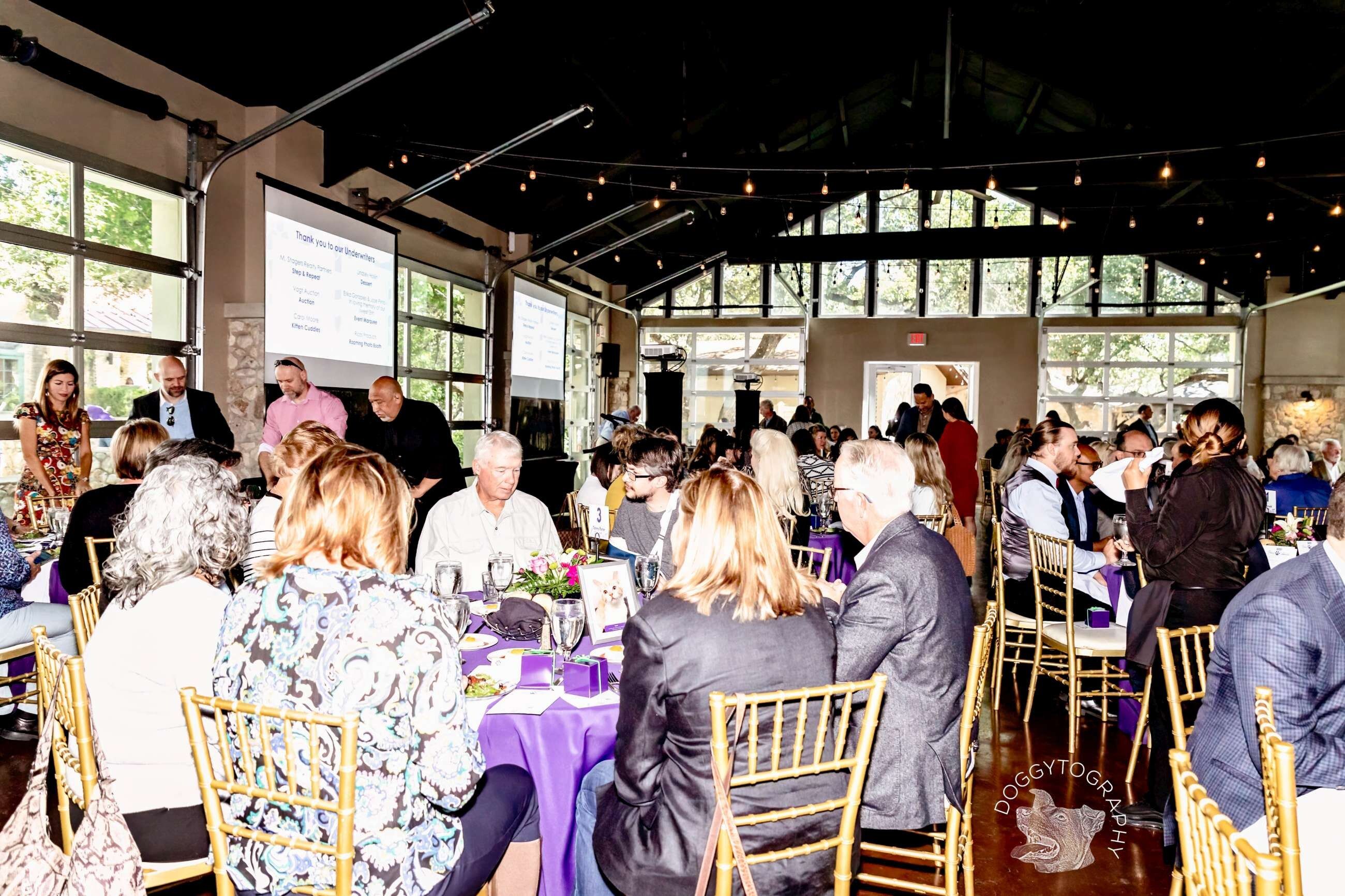 Paws for Celebration Luncheon - gallery image