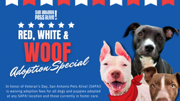 Red, White, and Woof Adoption Special 