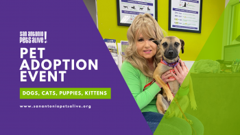 SAPA! Pet Adoption Event at Petco Ingram