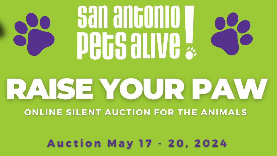 Raise Your Paw - SAPA!'s Annual Online Silent Auction for the Animals!