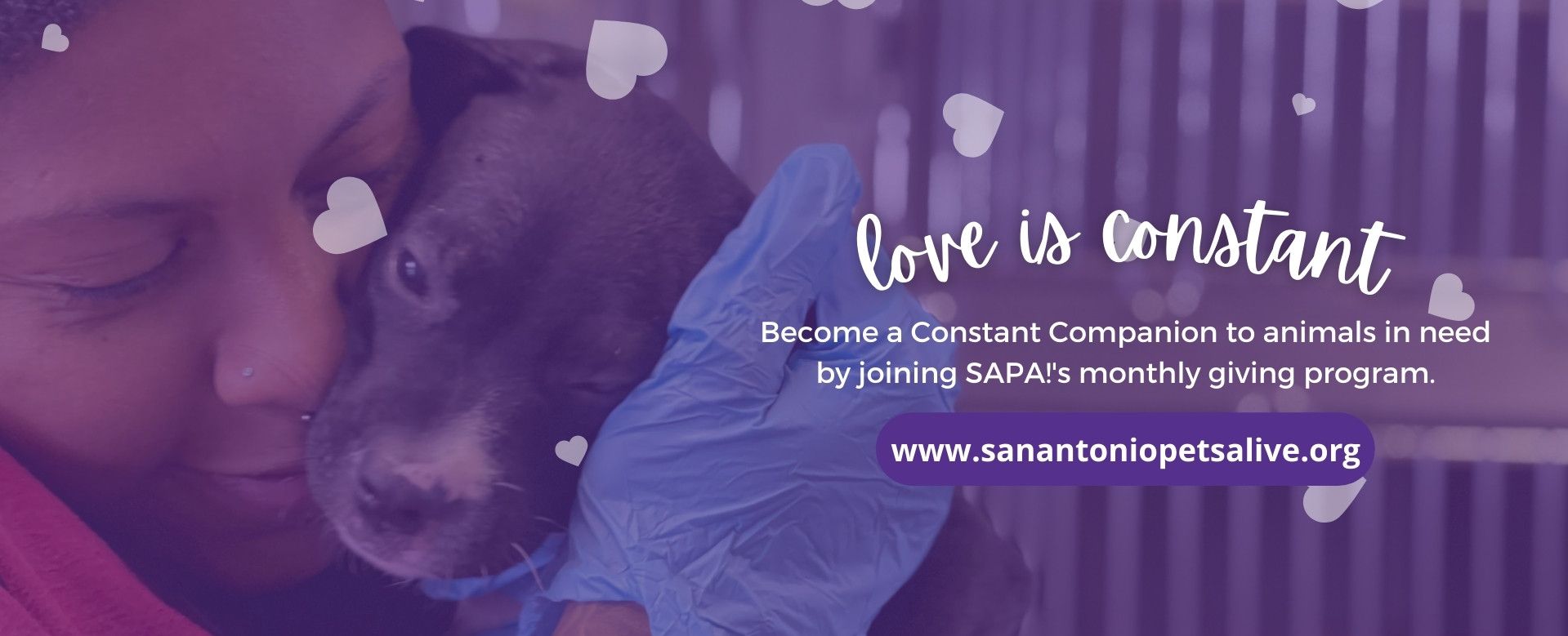 Love is Constant - Become a Constant Companion to animals in need by joining SAPA!'s monthly giving program.