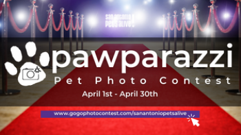 Pawparazzi Pet Photo Contest 