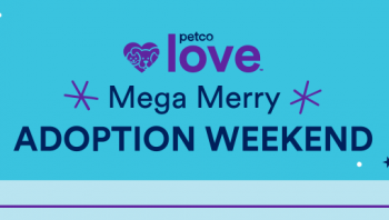 Mega Merry Adoption Weekend 
