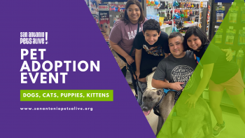 SAPA! Pet Adoption Event at Petco De Zavala