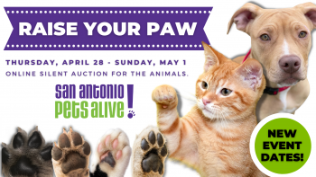 Raise Your Paw