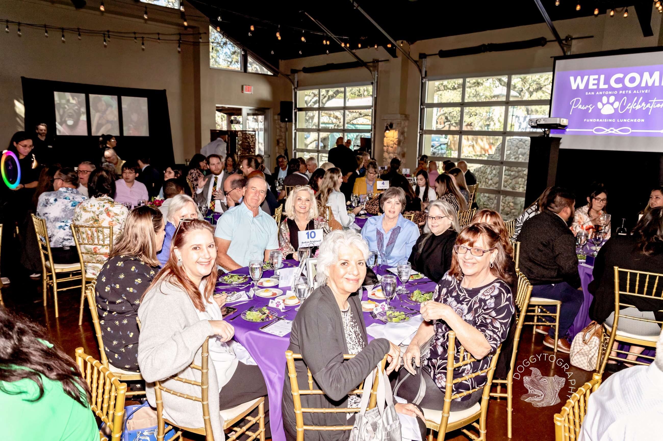 Paws for Celebration Gala - gallery image