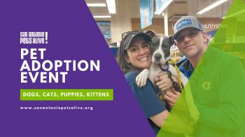 SAPA! Petco Love Adoption Event at Petco Ingram - NO Adoption Fees!