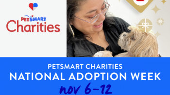 PetSmart National Pet Day Adoption Special 