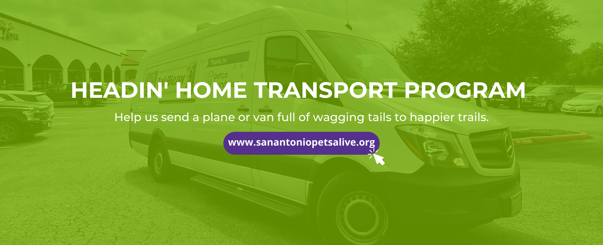 Transport 