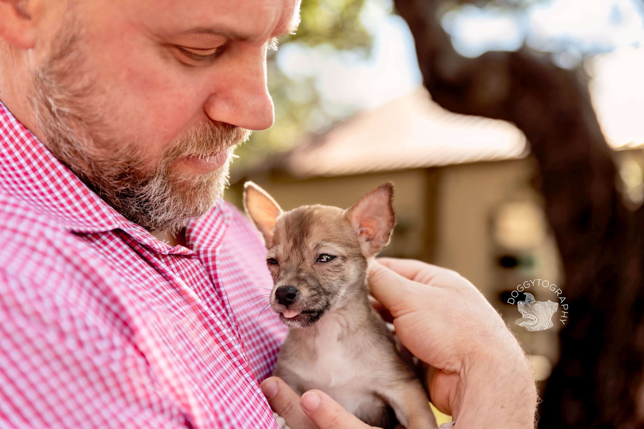 Paws for Celebration Gala - gallery image