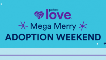 Adoption Event @ Petco Ingram