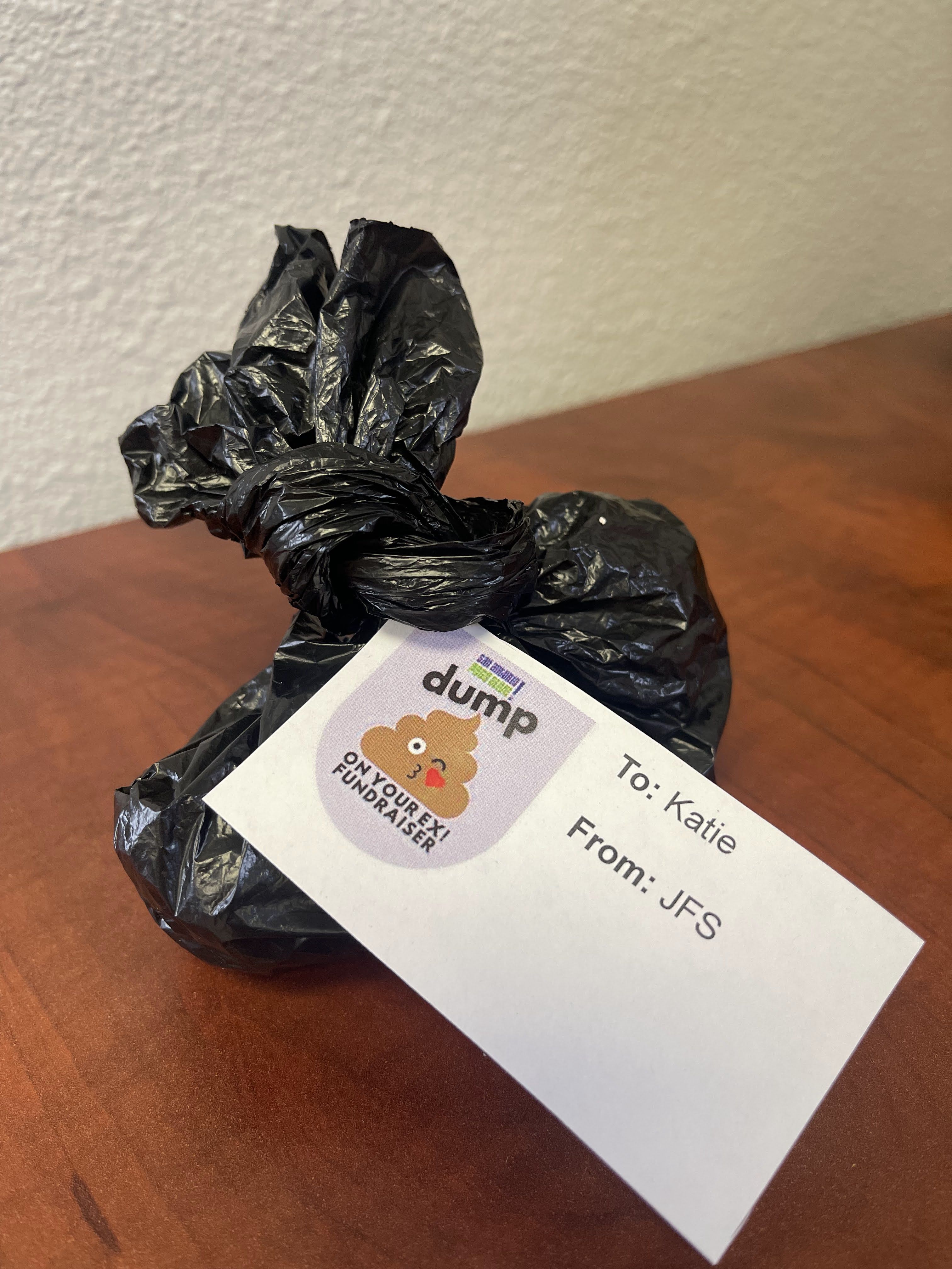 Dump On Your Ex Fundraiser - gallery image
