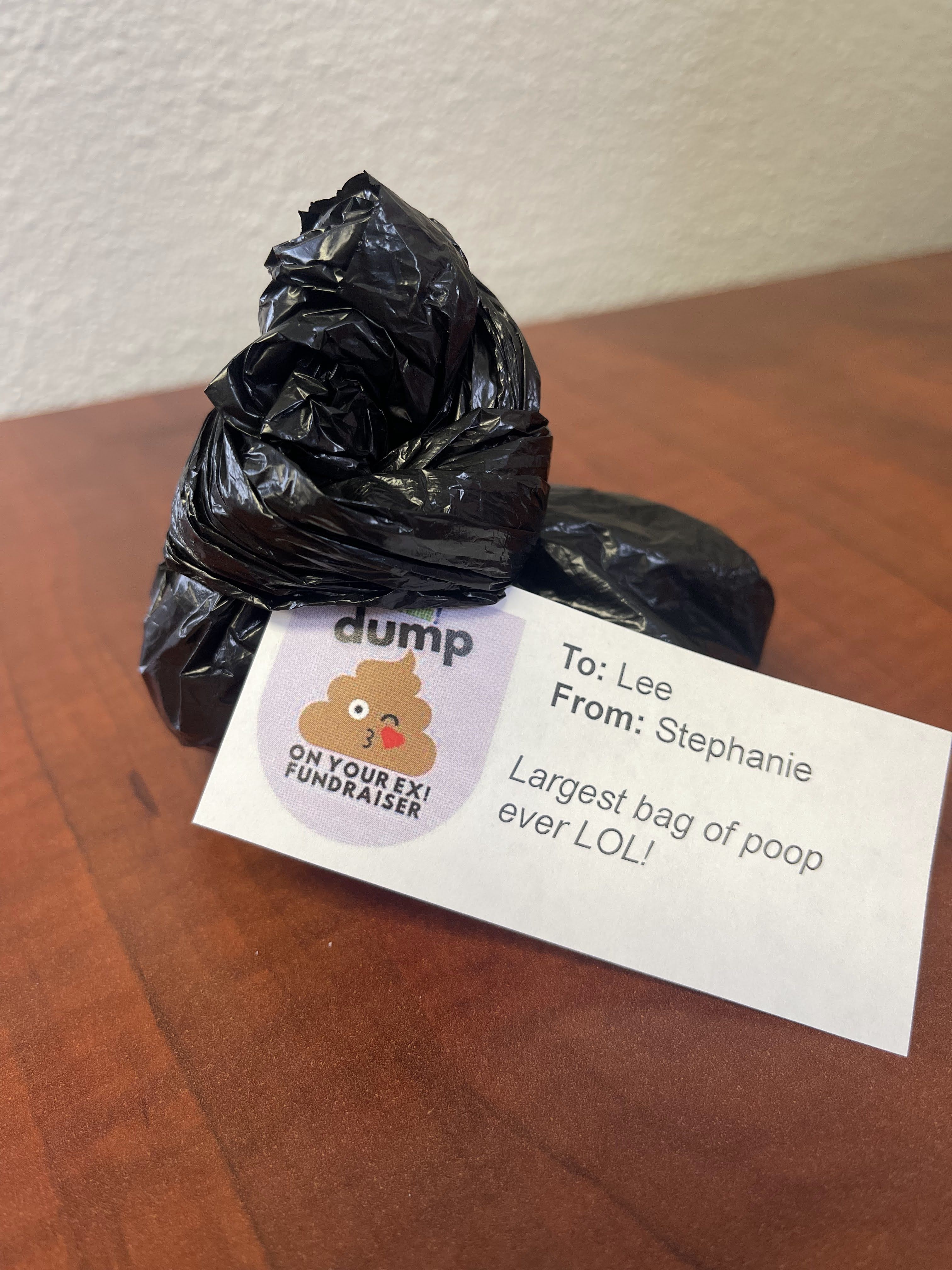 Dump On Your Ex Fundraiser - gallery image