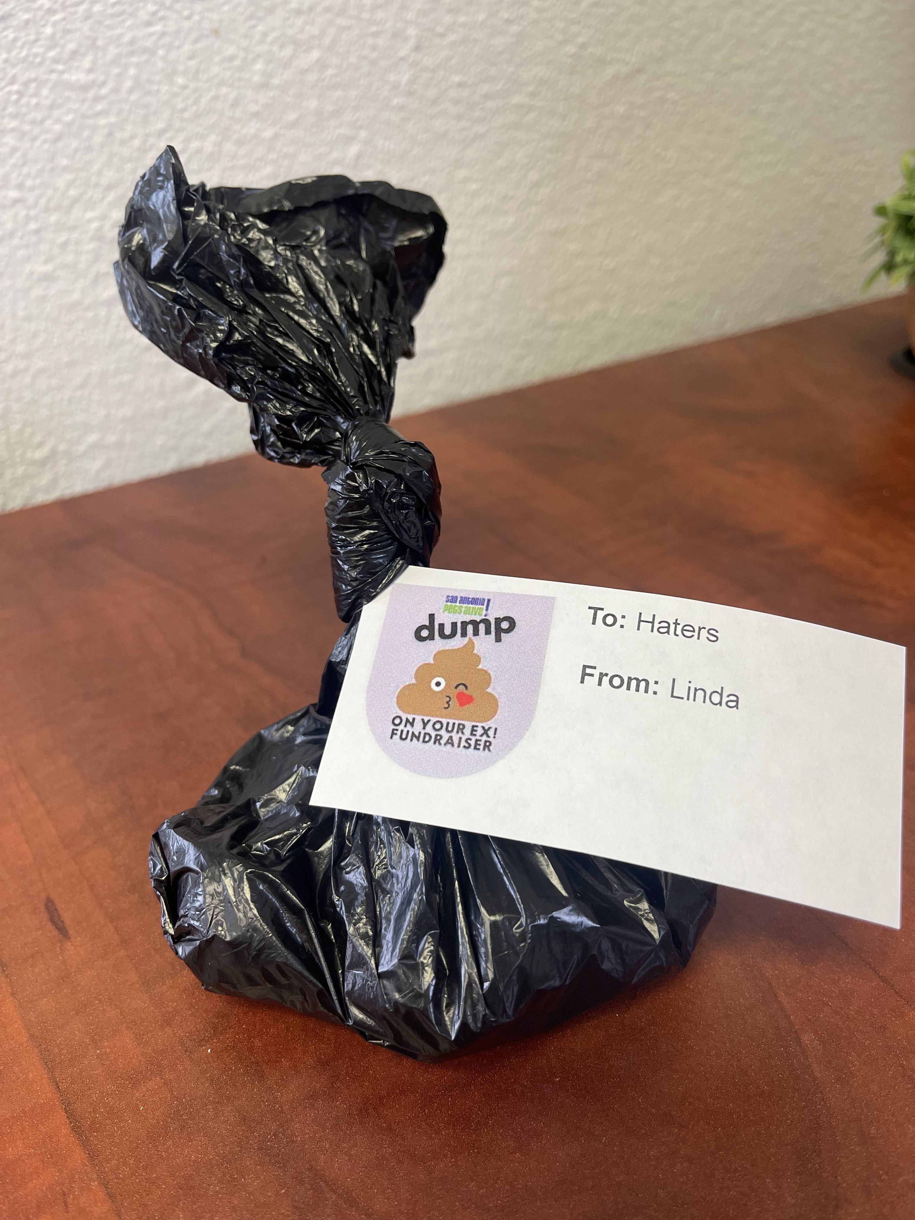 Dump On Your Ex Fundraiser - gallery image