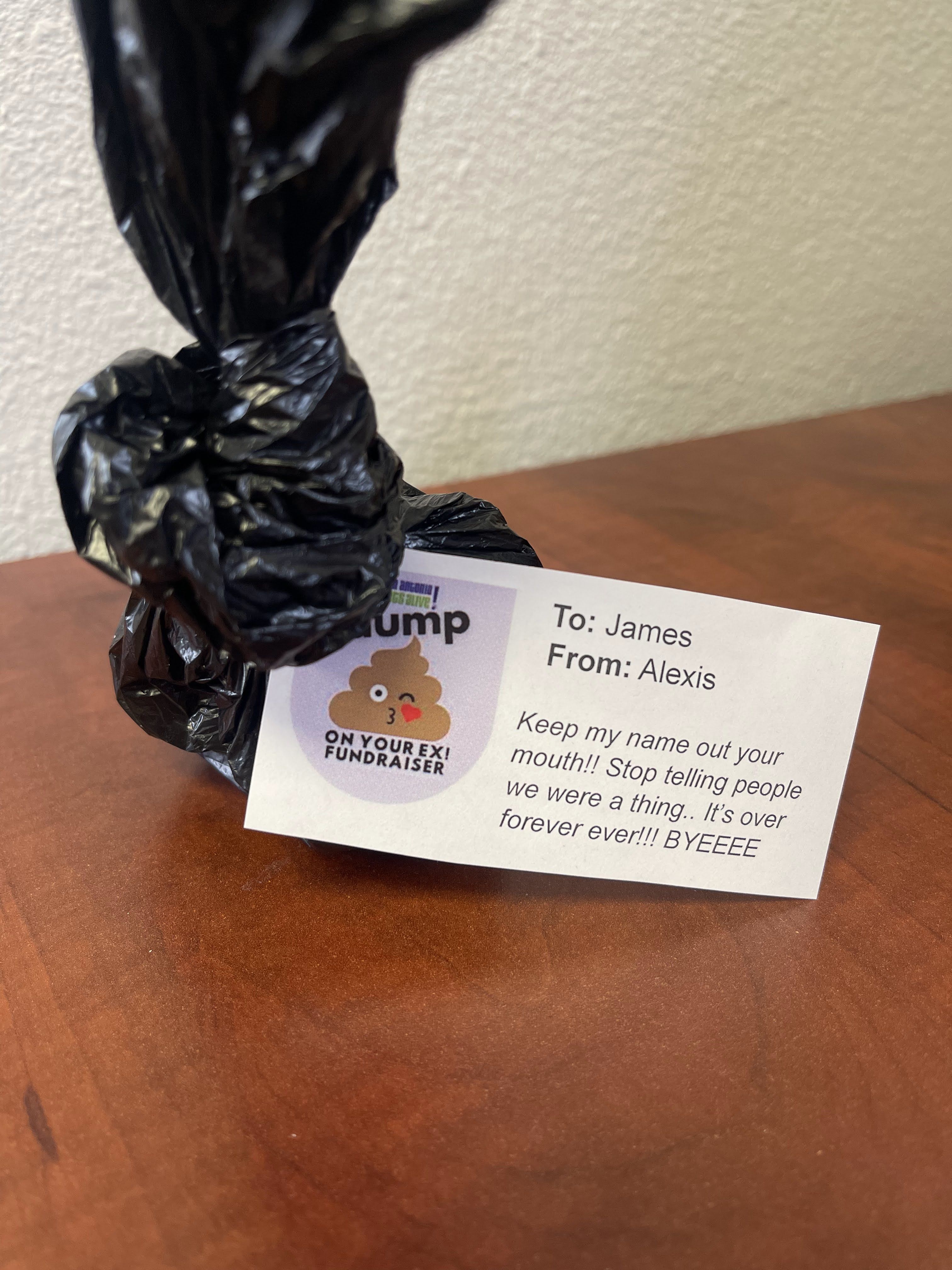 Dump On Your Ex Fundraiser - gallery image