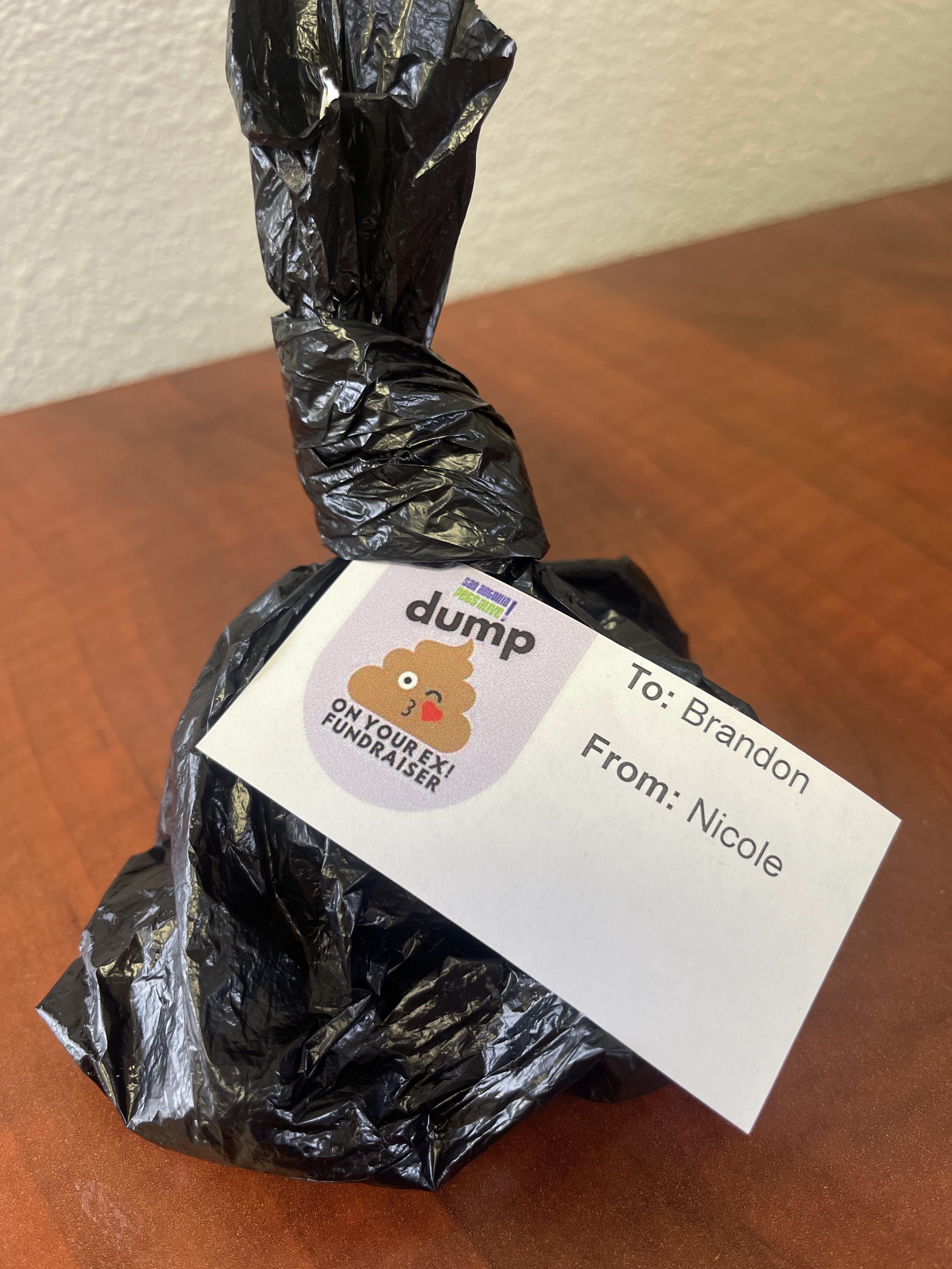 Dump On Your Ex Fundraiser - gallery image