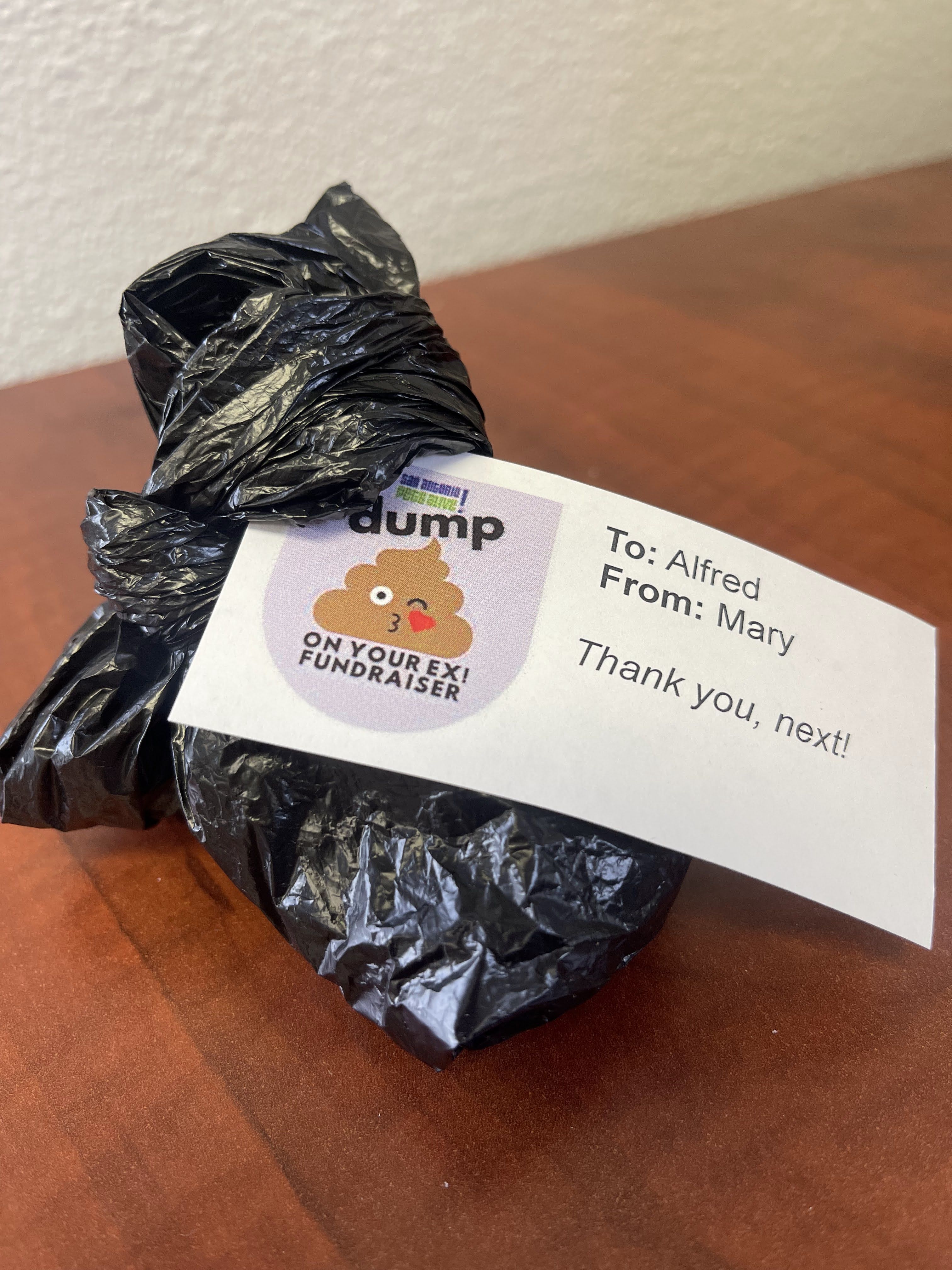 Dump On Your Ex Fundraiser - gallery image