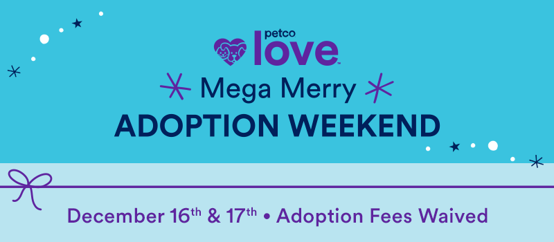 Mega Merry Adoption Weekend 
