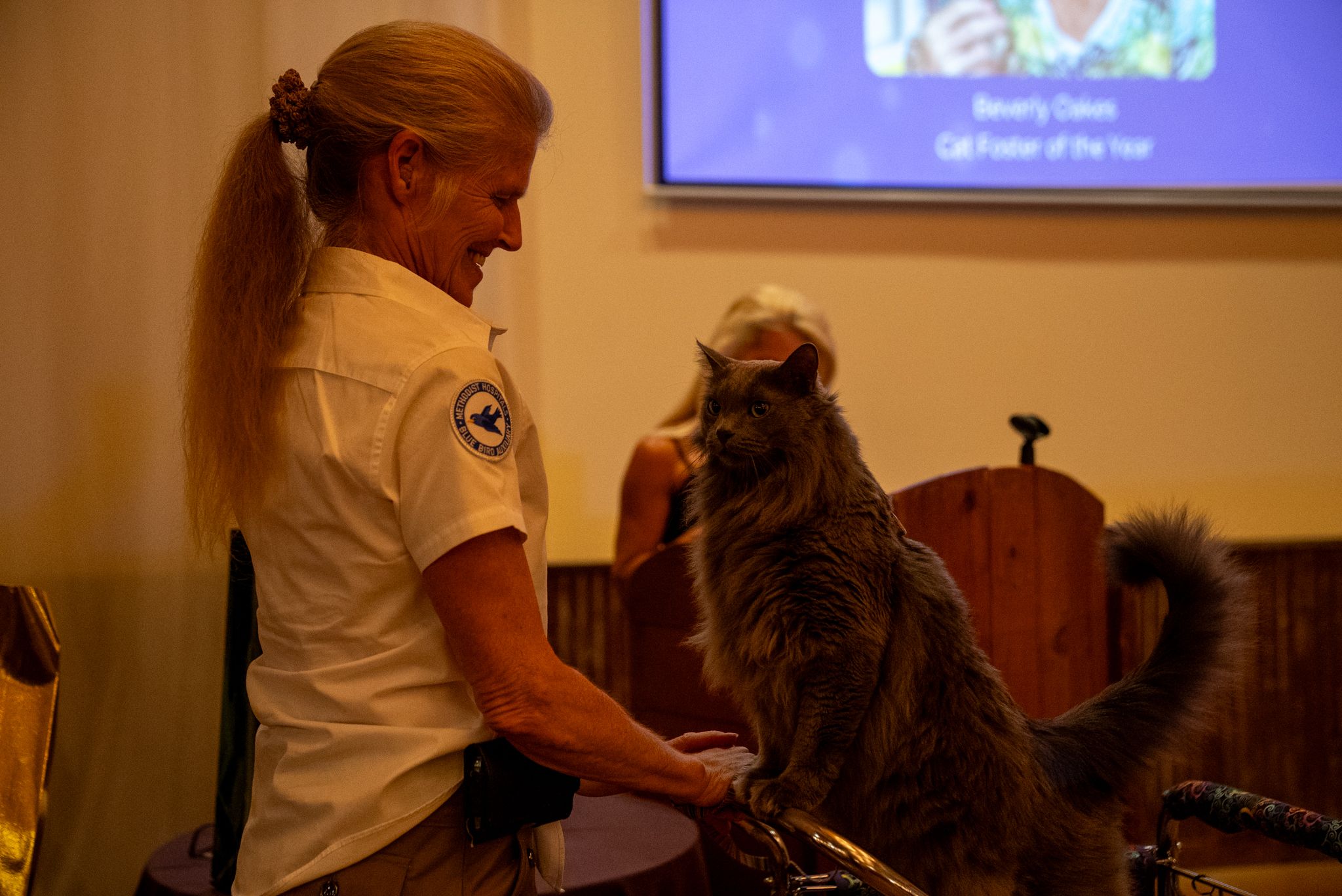 Paws for Celebration Dinner and Fundraiser - gallery image