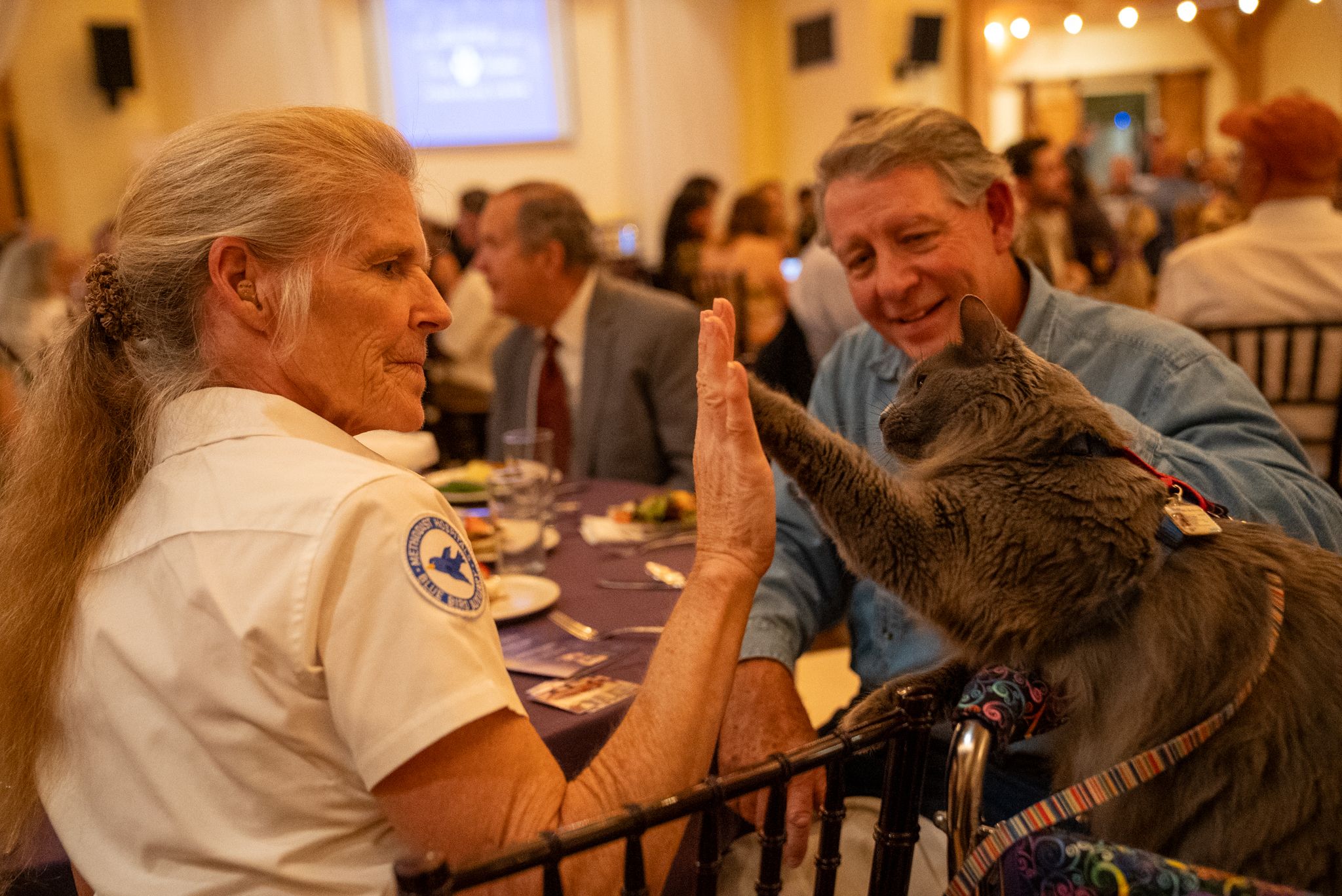 Paws for Celebration Dinner and Fundraiser - gallery image