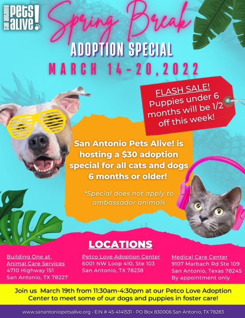 Spring Break Adoption Special