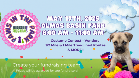 Paws In The Park