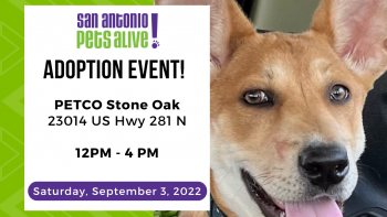 Adoption Event @ Petco Stone Oak