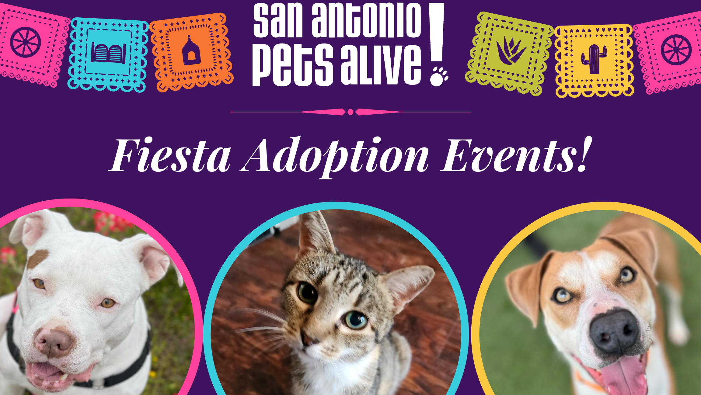 SAPA! Pet Adoption Events