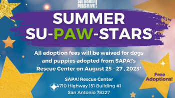 Summer SU-PAW-STARS Adoption Event! Free Adoptions! 