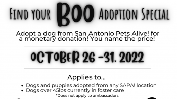 Find Your Boo Adoption Special