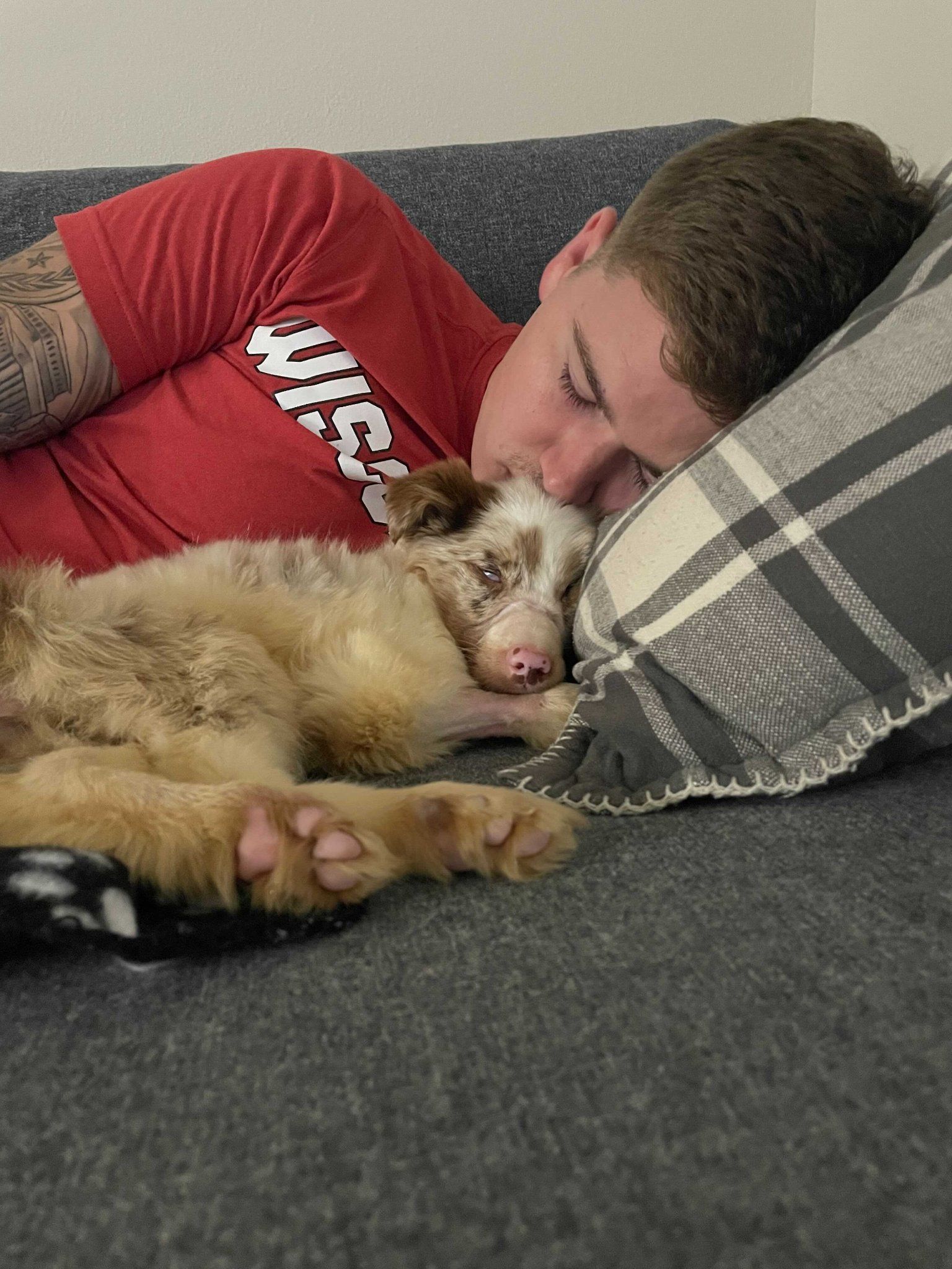 Bonnie the Aussie - Thank you! - gallery image
