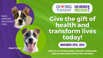 Giving Tuesday