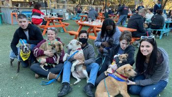 Texas Public Radio Yappy Hour