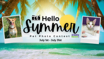 Hello Summer Pet Photo Contest