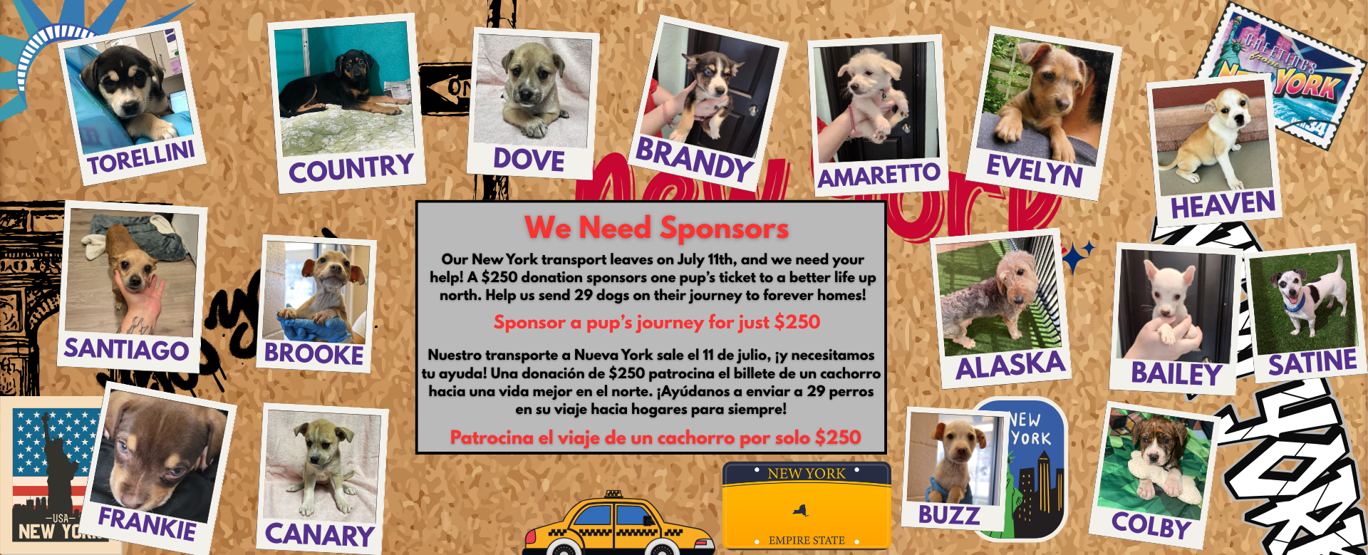 Sponsor Transport Animal