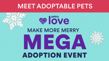 Petco Mega Adoption Event 
