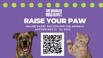 Raise Your Paw 2023 Online Silent Auction for the Animals 