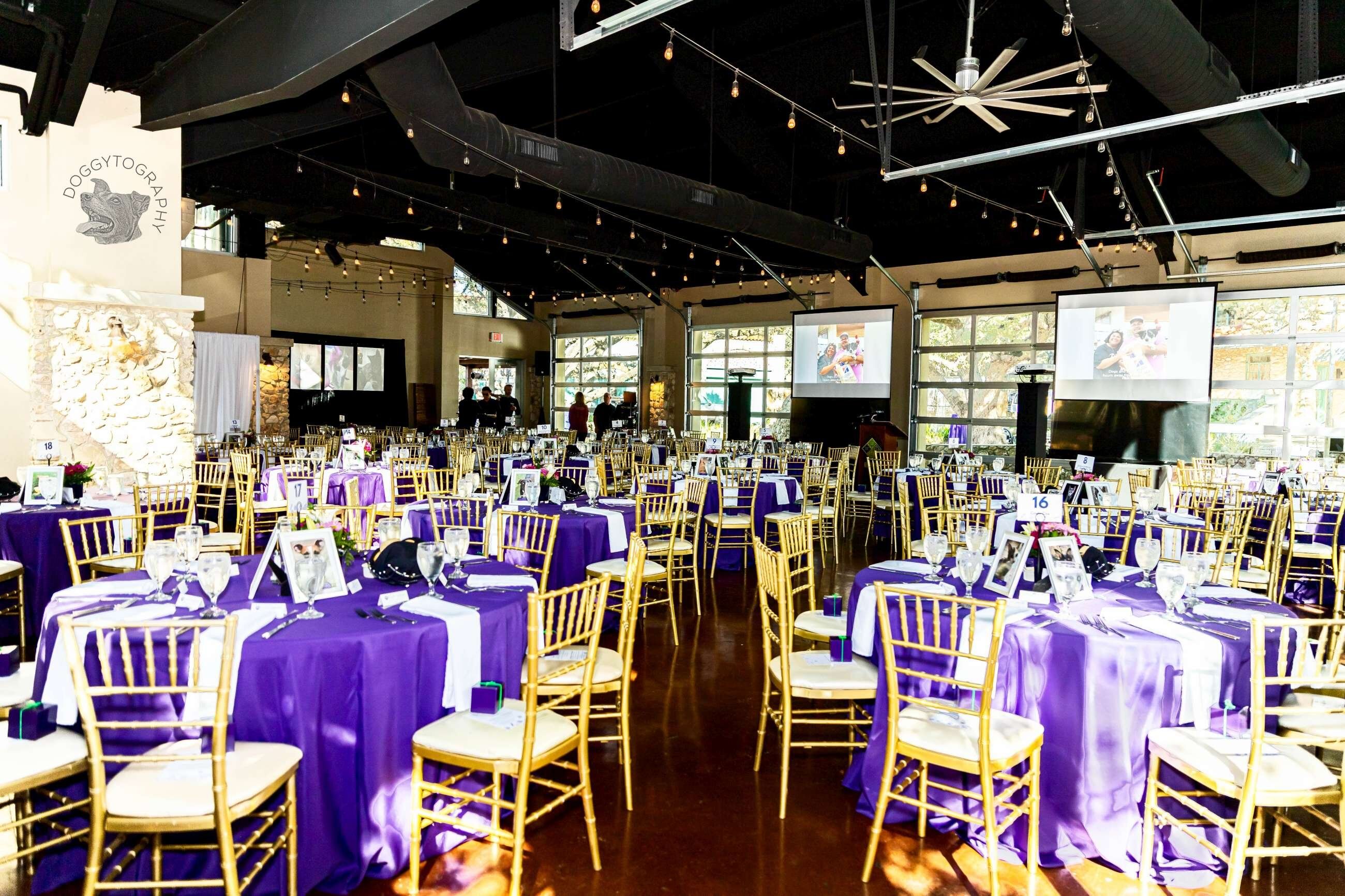Paws for Celebration Gala - gallery image