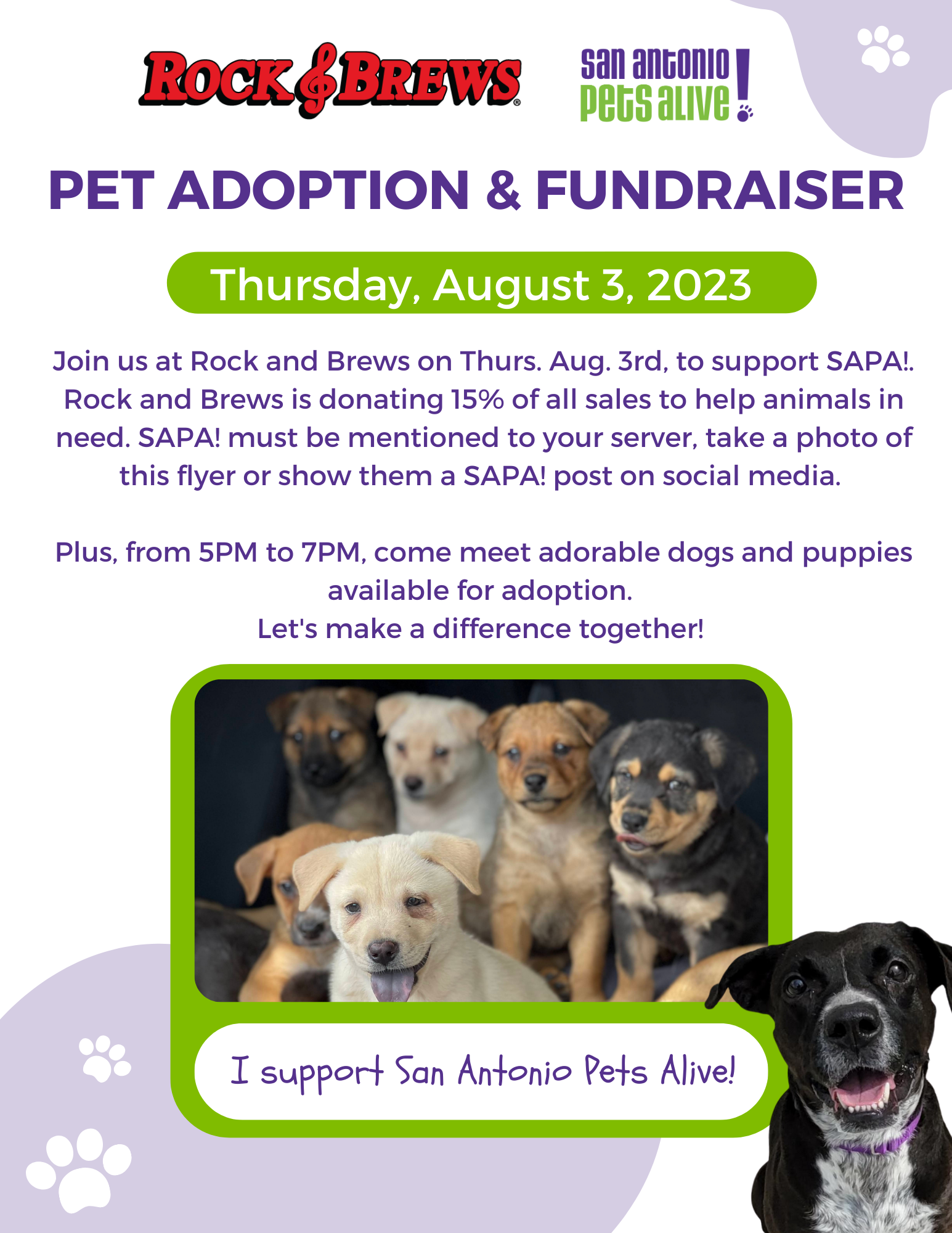 Rock and Brews Fundraiser and Adoption Event 