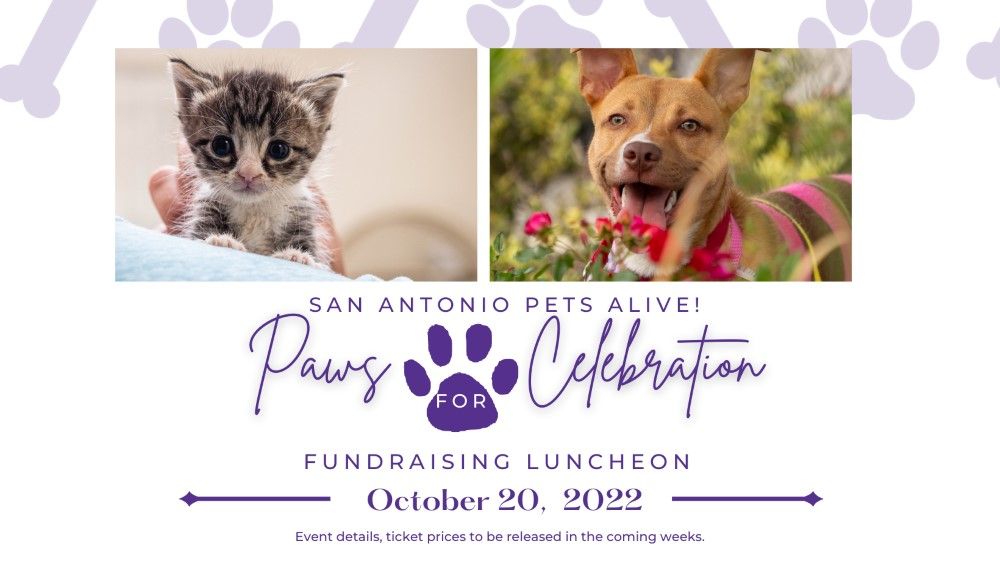 Paws for Celebration Gala