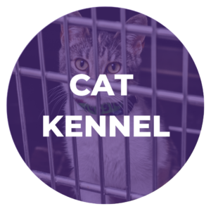 Cat Kennel