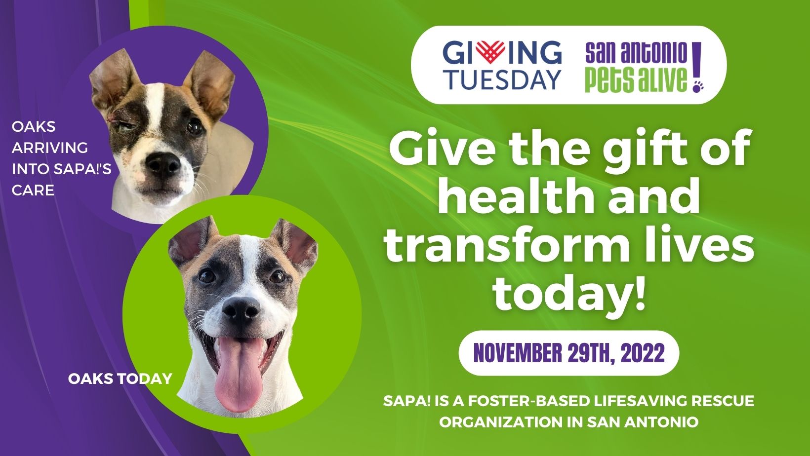 Giving Tuesday - Give the gift of health and transform lives today!