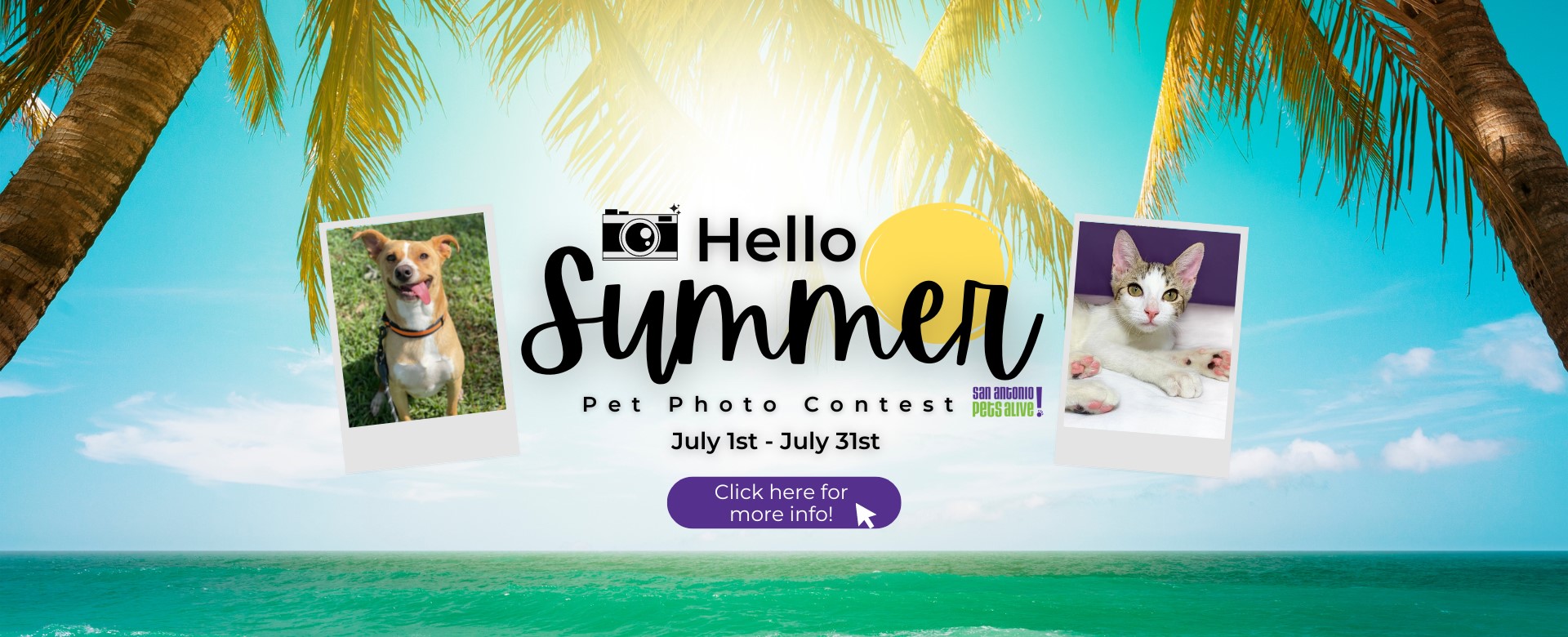 Hello Summer - Pet Photo Contest - July 1st thru July 31st - click to enter