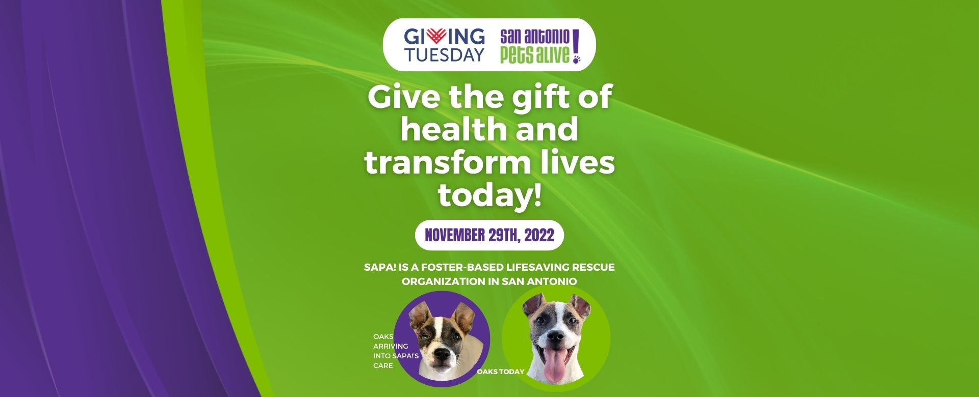 Giving Tuesday - Give the gift of health and transform lives today!