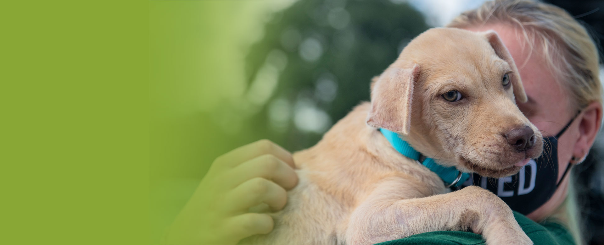 Sponsor a Kennel