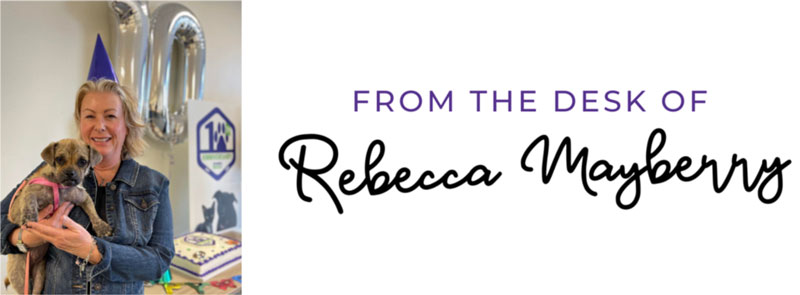 From the Desk of Rebecca Mayberry