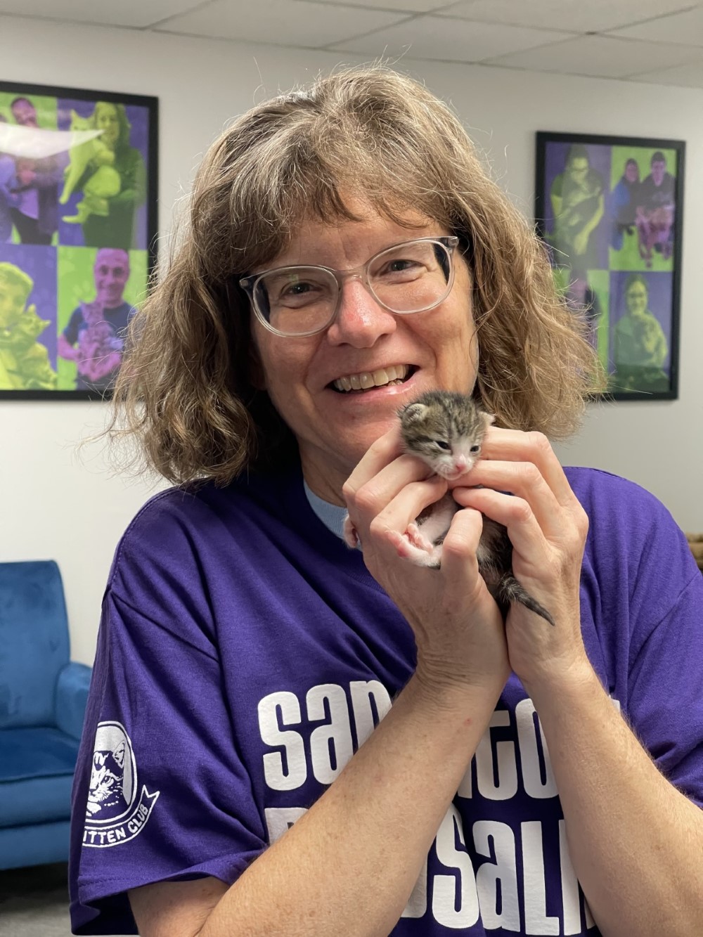 Neonatal Kittens