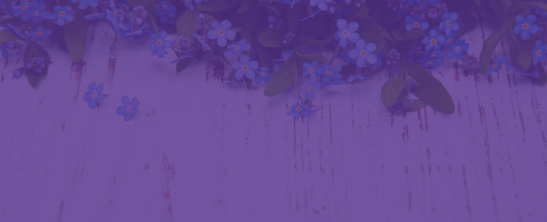 Forget Me Not - Together, we can help our long-stay cats and dogs find their forever families.